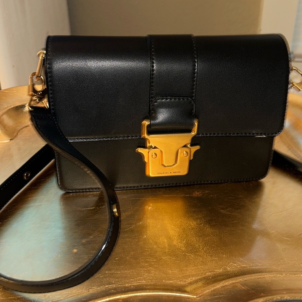 NWT Charles & Keith Metallic Accent Bag - Black